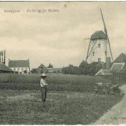 Baeygem - Zicht op de molen