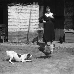 Hond, kip en Alma D'Haenens