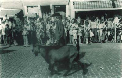 Geiten in de Canteclaerstoet, Deinze, 1975