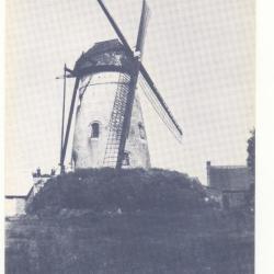 Baaigem (OV) Prinsenmolen  1806-1959 romp